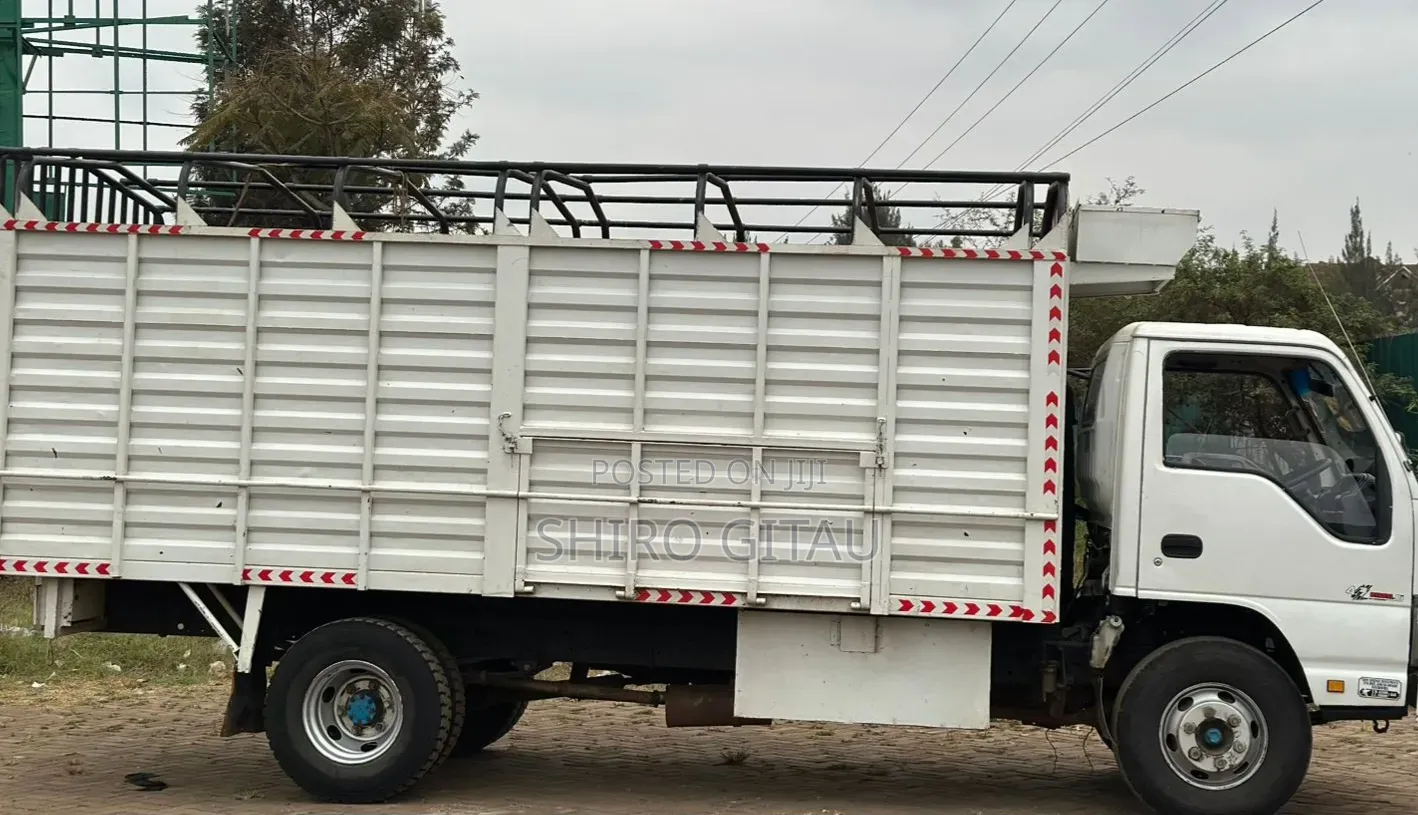 Isuzu NPR 2006 White