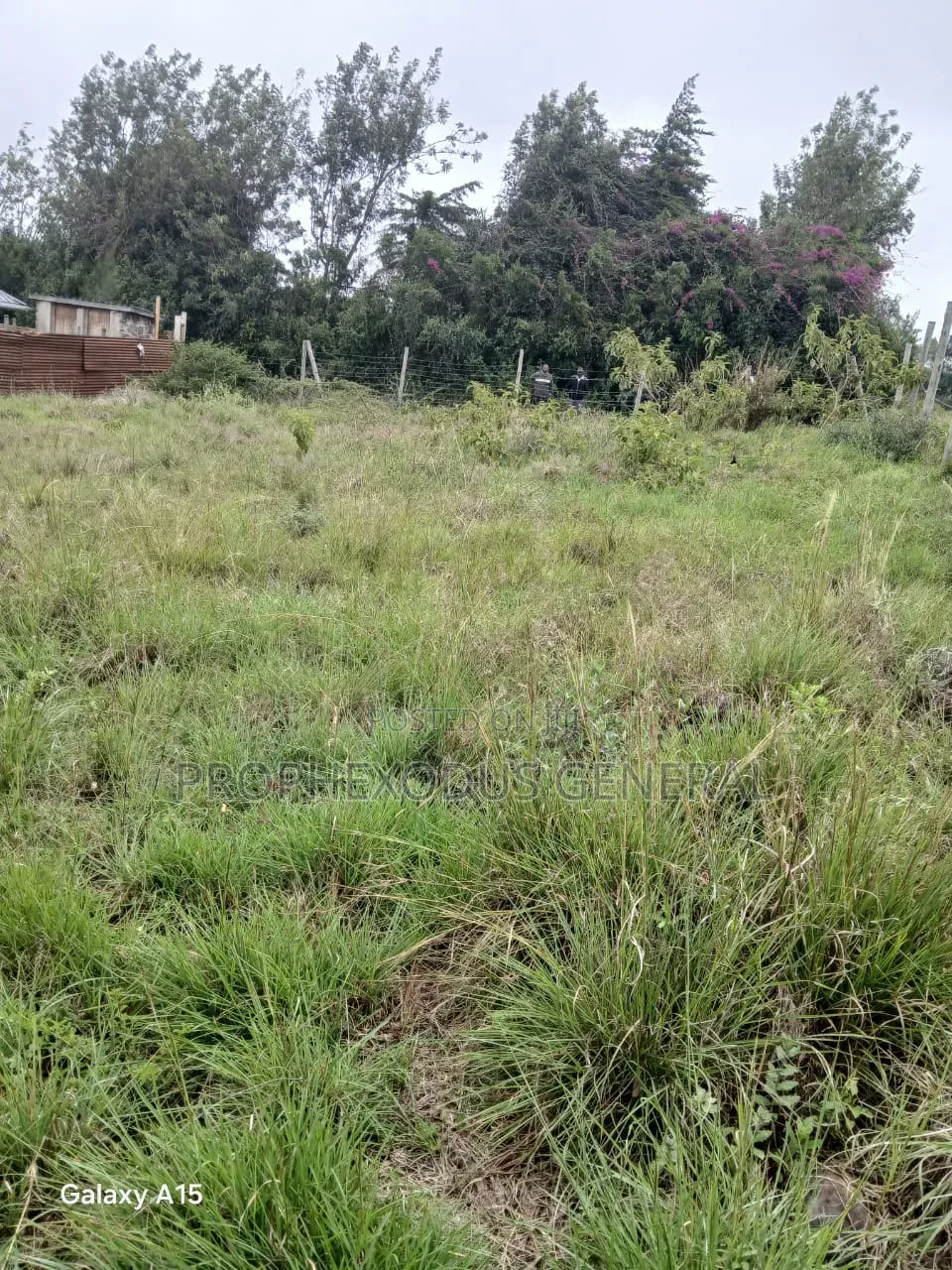 50x100 Plots for Sale – Rangau, Ongata Rongai