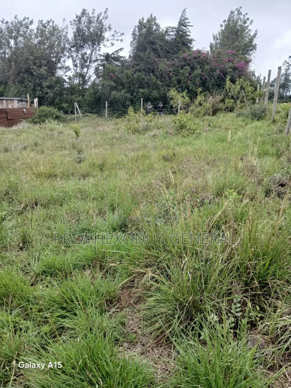 50x100 Plots for Sale – Rangau, Ongata Rongai