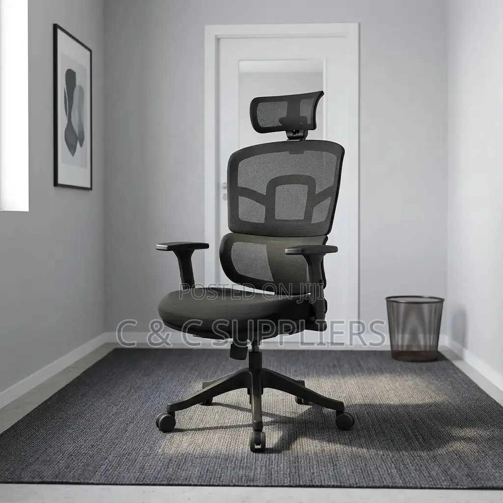 Orthopedic Mesh Chair With Adjusting Arms