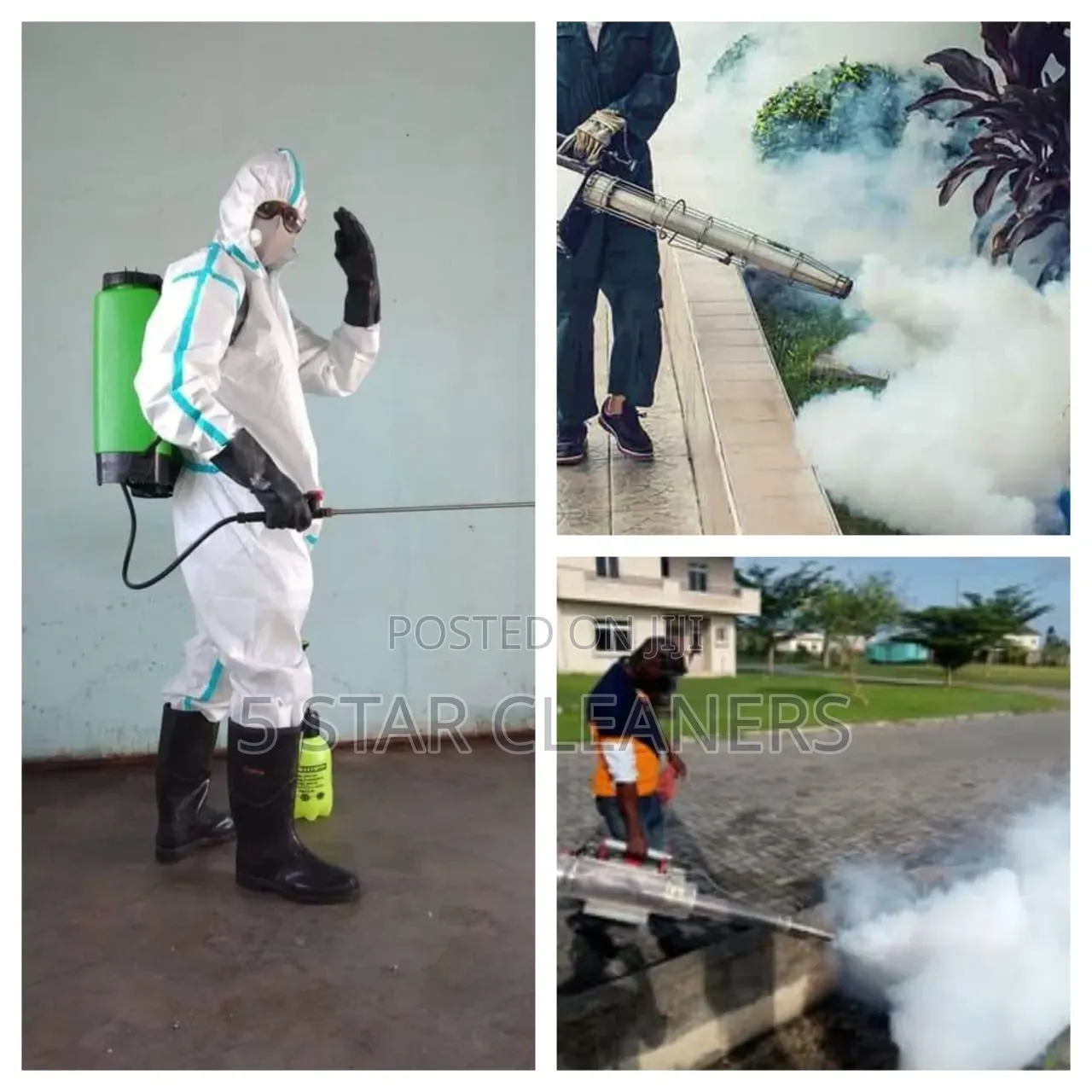 Our Experienced Team Is Here to Help You Eliminate Roaches &  Bedbugs