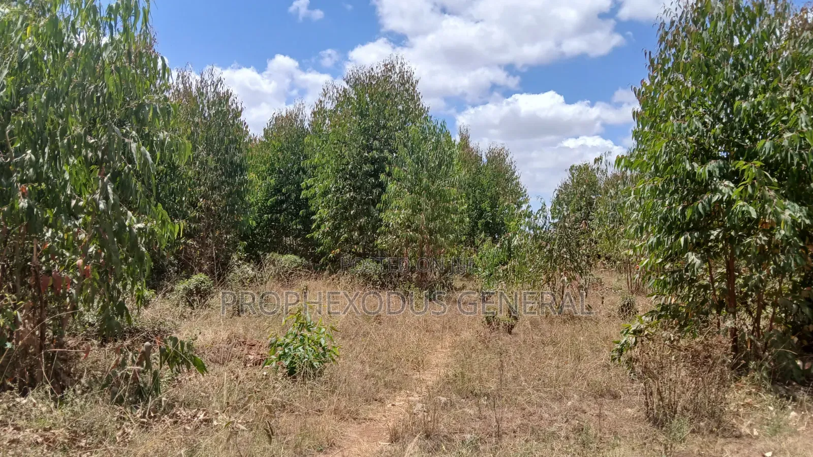 5 Acres for Sale lnTuala Near Rockfied Academy.