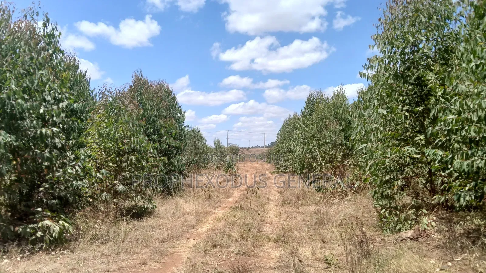 5 Acres for Sale lnTuala Near Rockfied Academy.