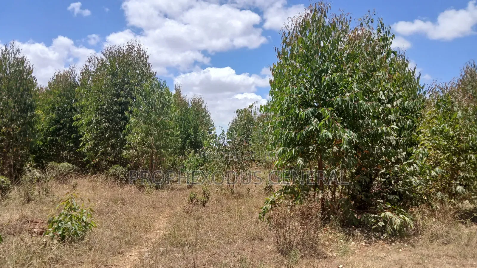 5 Acres for Sale lnTuala Near Rockfied Academy.