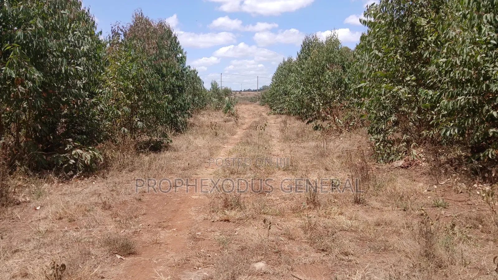 5 Acres for Sale lnTuala Near Rockfied Academy.