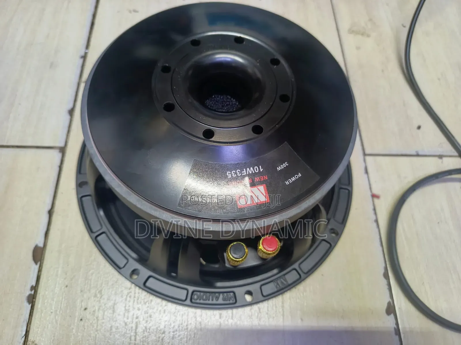 10-Inch New Retone Speaker