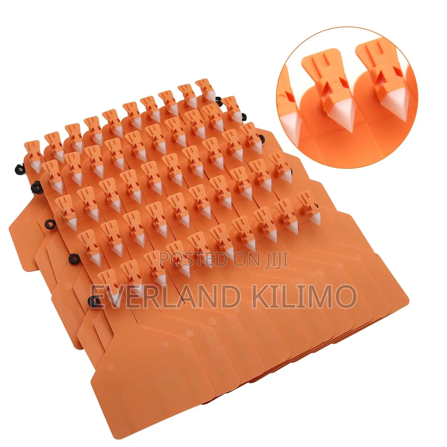 Large Plain Calf Record Z- Tags