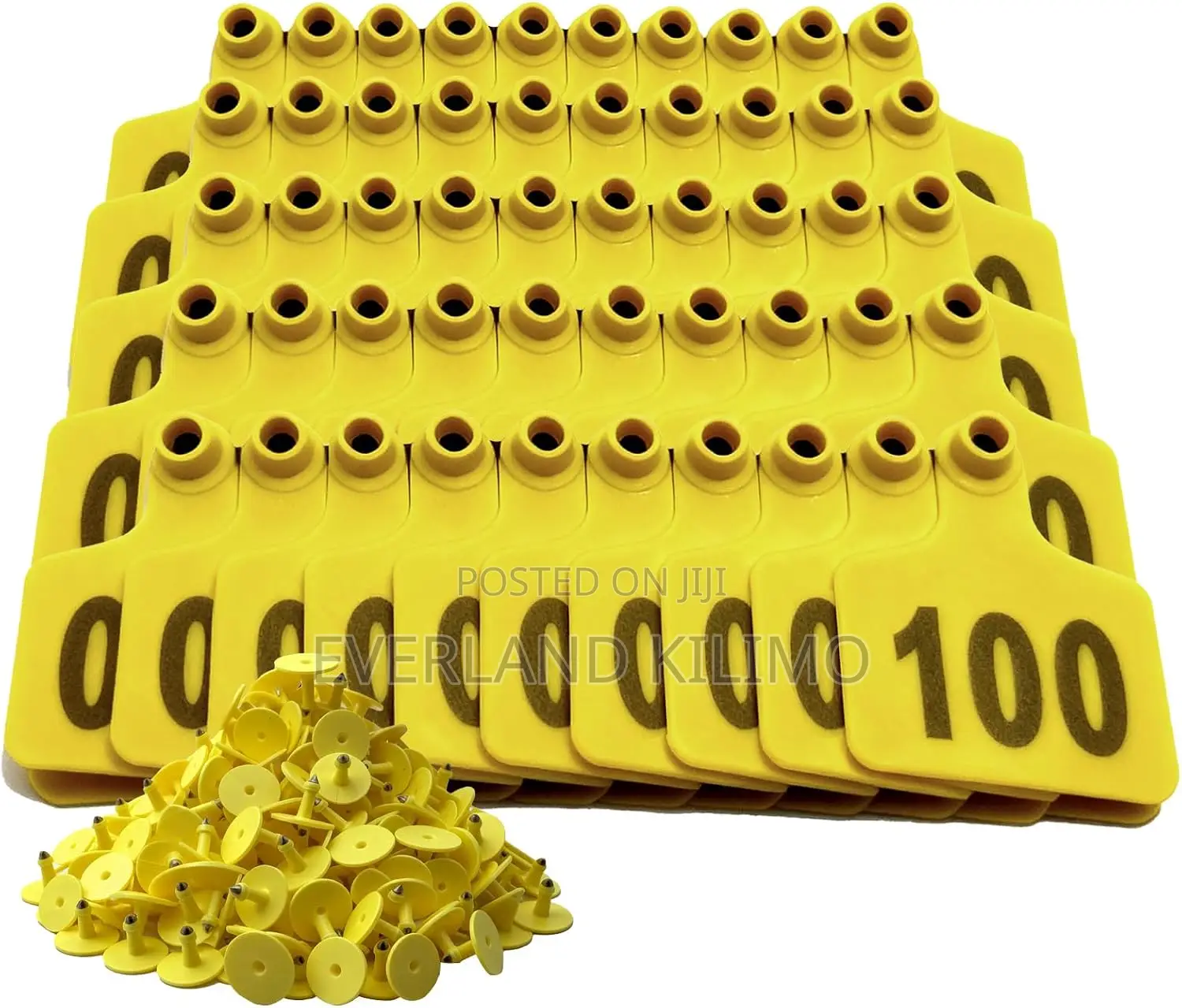 Cattle Feeding Record Medium Ear Tags