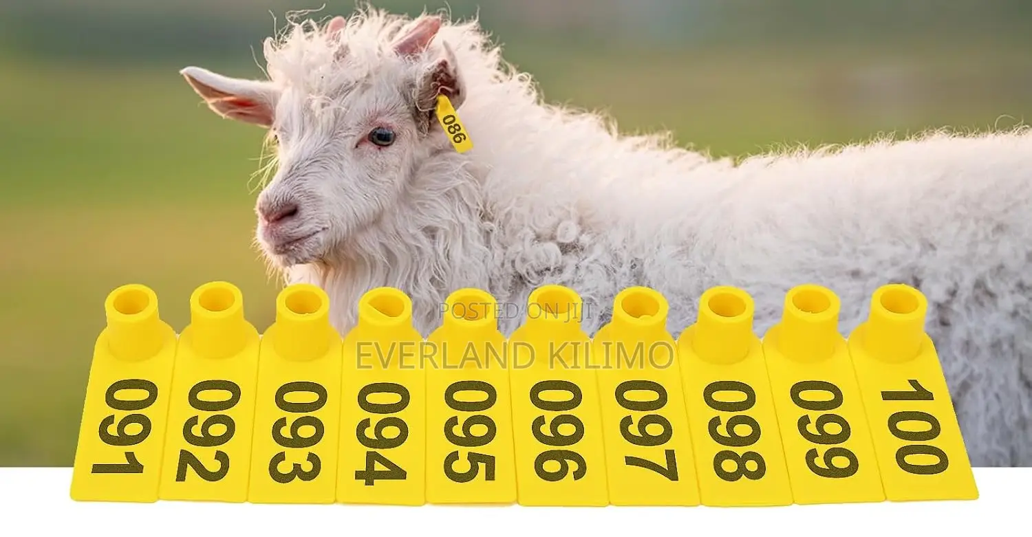 Signature Laser Slim Numbered Ear Tags for Sheeps