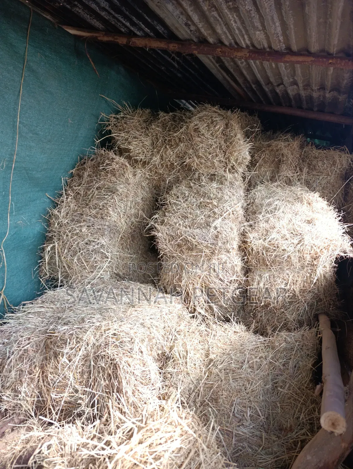 Boma Rhodes Grass Variety Square Bale of Dried Grass Hay