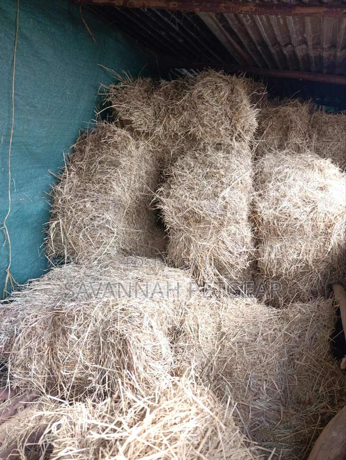 Boma Rhodes Grass Variety Square Bale of Dried Grass Hay