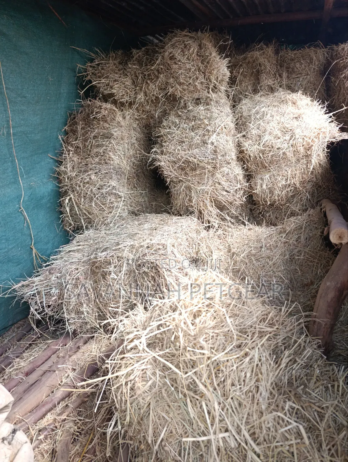 Boma Rhodes Grass Variety Square Bale of Dried Grass Hay