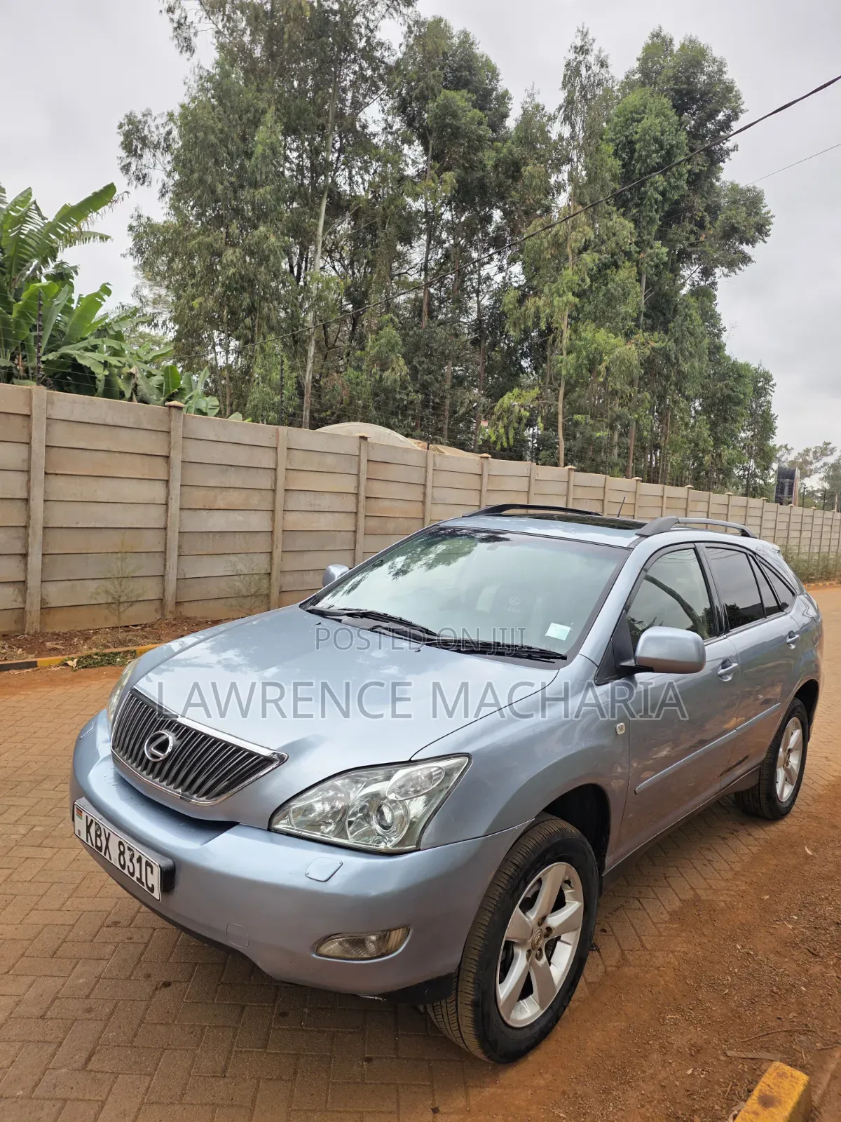 Lexus RX 2006 Blue
