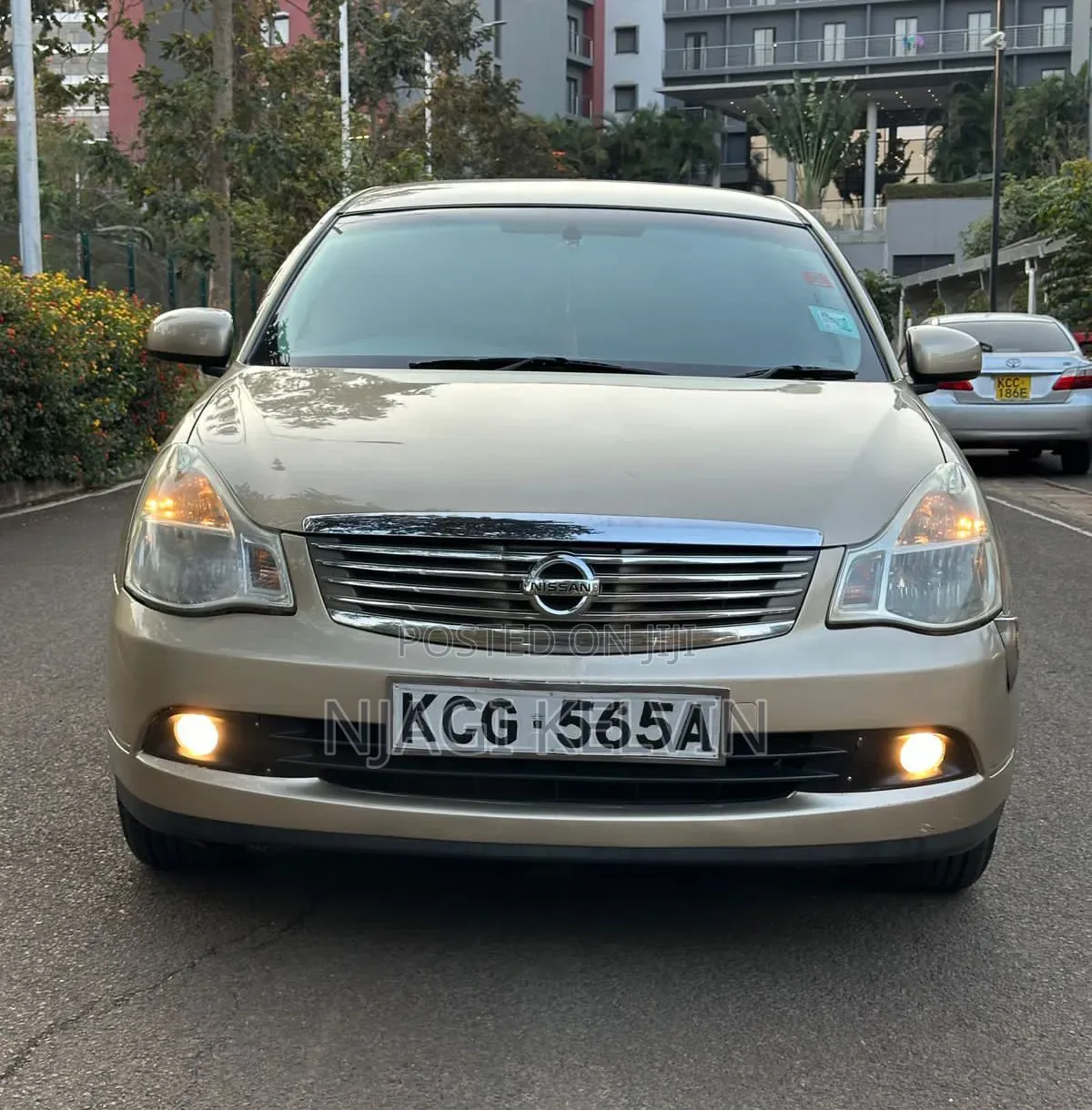 Nissan Sylphy 2009 Gold