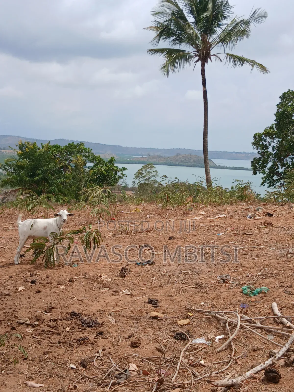 50 Acres Forsale in Kilifi Near to Mandarin Beach Resort