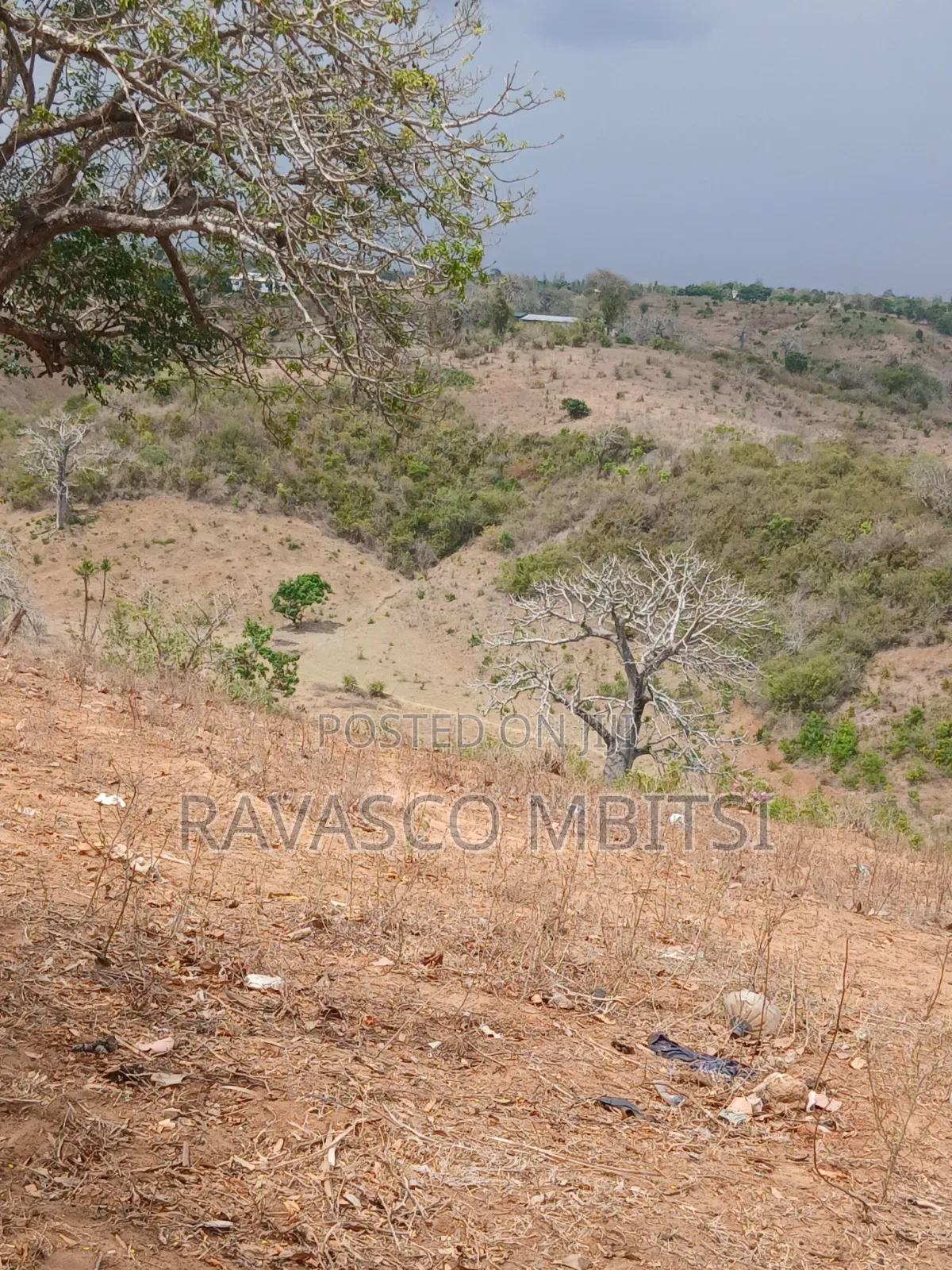50 Acres Forsale in Kilifi Near to Mandarin Beach Resort
