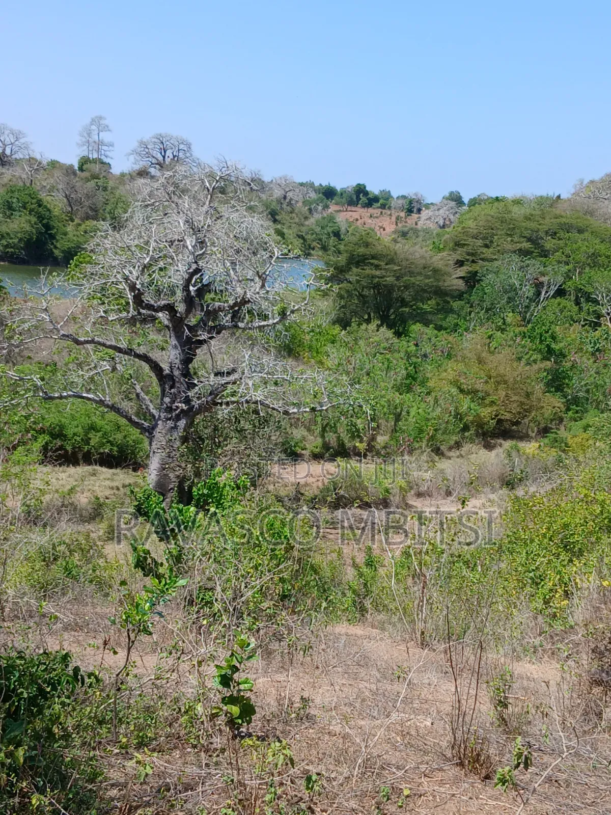 5 Acres Forsale in Kilifi Near to Mavueni Centre.