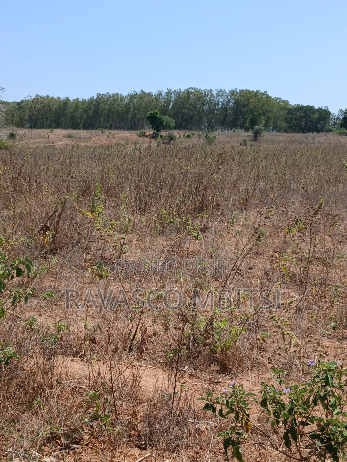 5 Acres Forsale in Kilifi Near to Mavueni Centre.