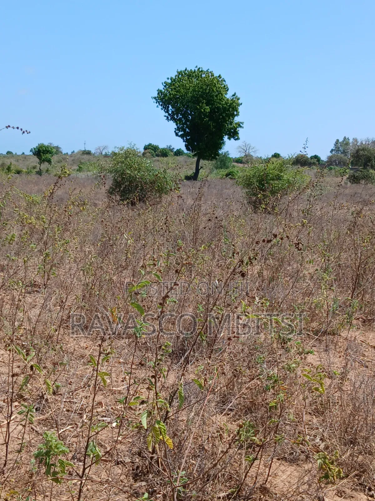 5 Acres Forsale in Kilifi Near to Mavueni Centre.