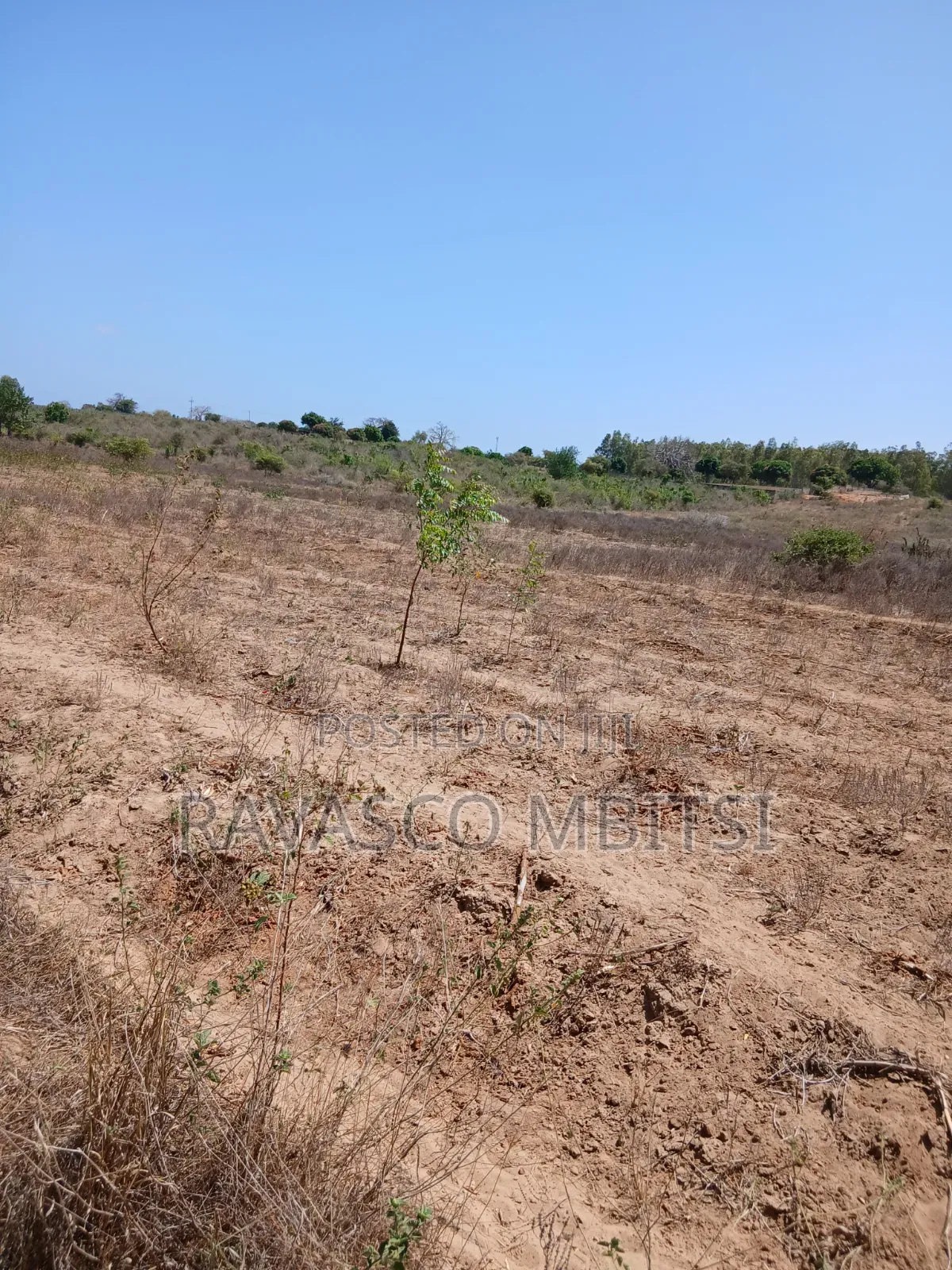 5 Acres Forsale in Kilifi Near to Mavueni Centre.