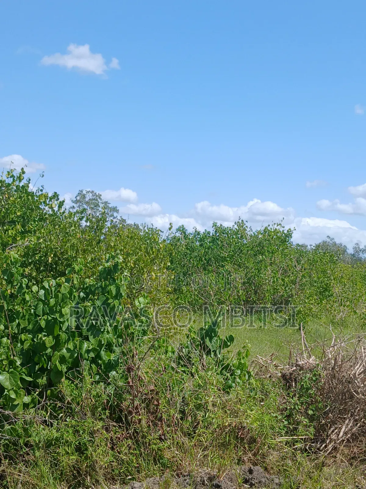 30 Acres Forsale in Malindi Jay's Near to Tangini Primary School.