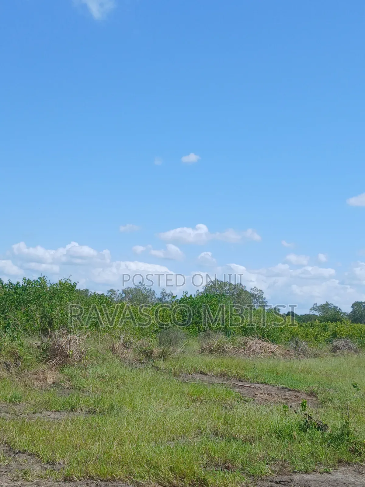 30 Acres Forsale in Malindi Jay's Near to Tangini Primary School.