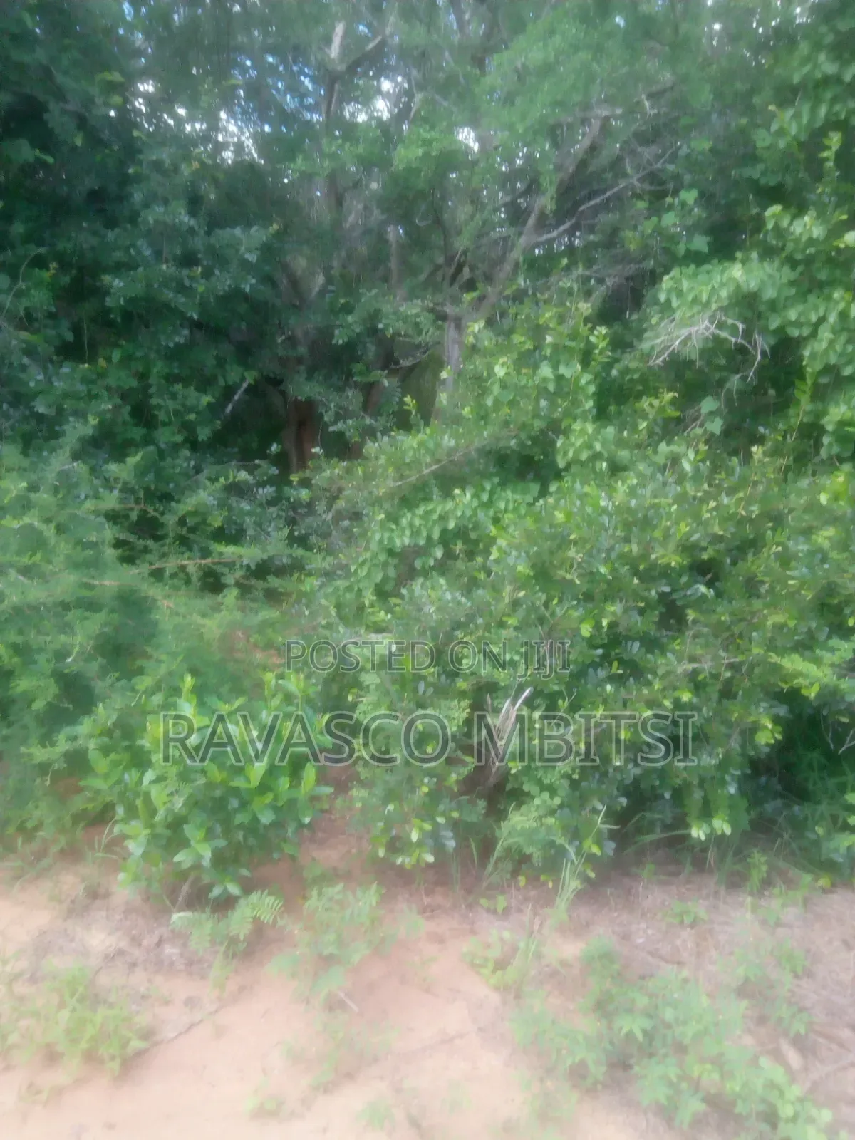 200 Acres Forsale in Malindi Baricho