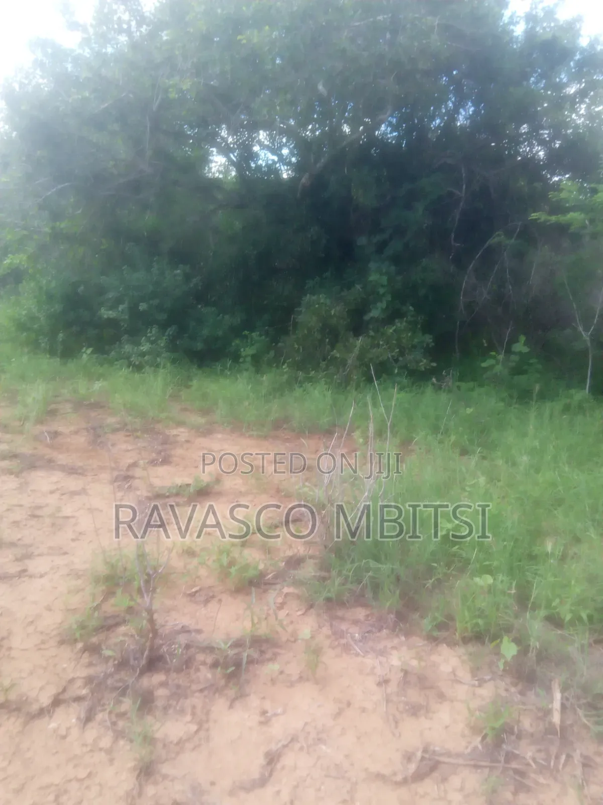 200 Acres Forsale in Malindi Baricho