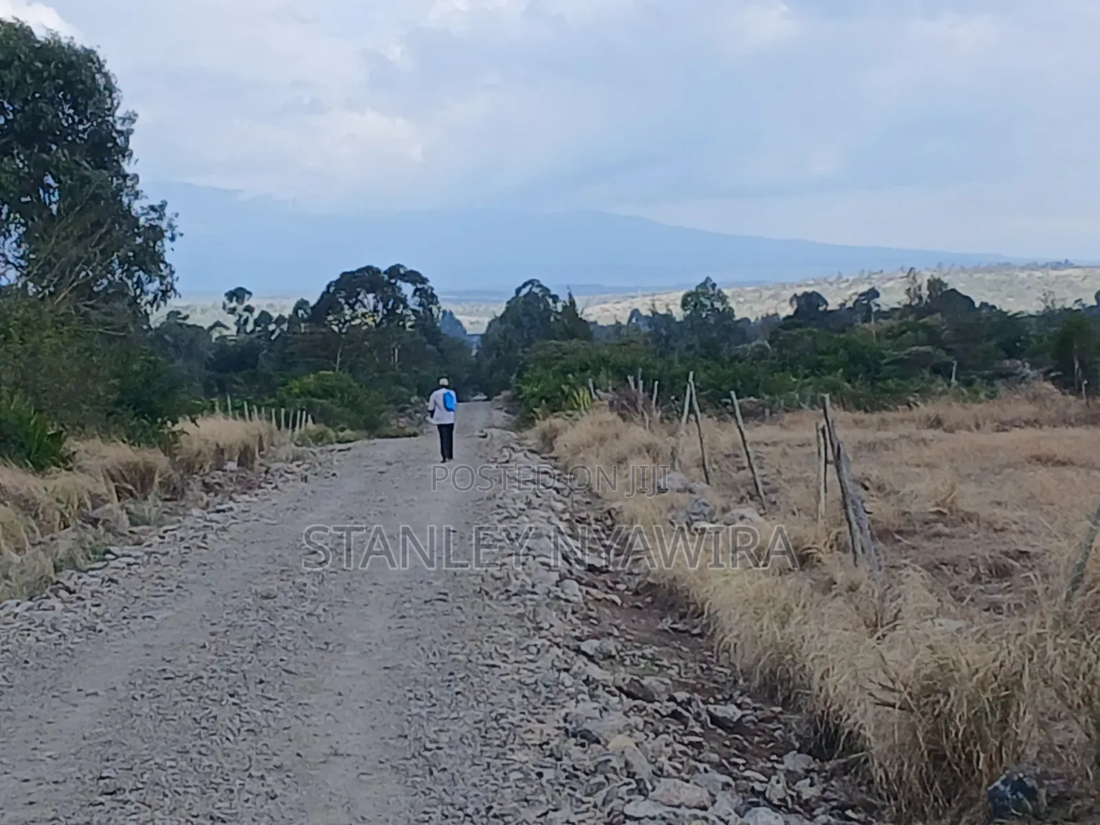 4 Prime Acrea Nanyuki Behind Airstrip Near Op Abdeare Cottages