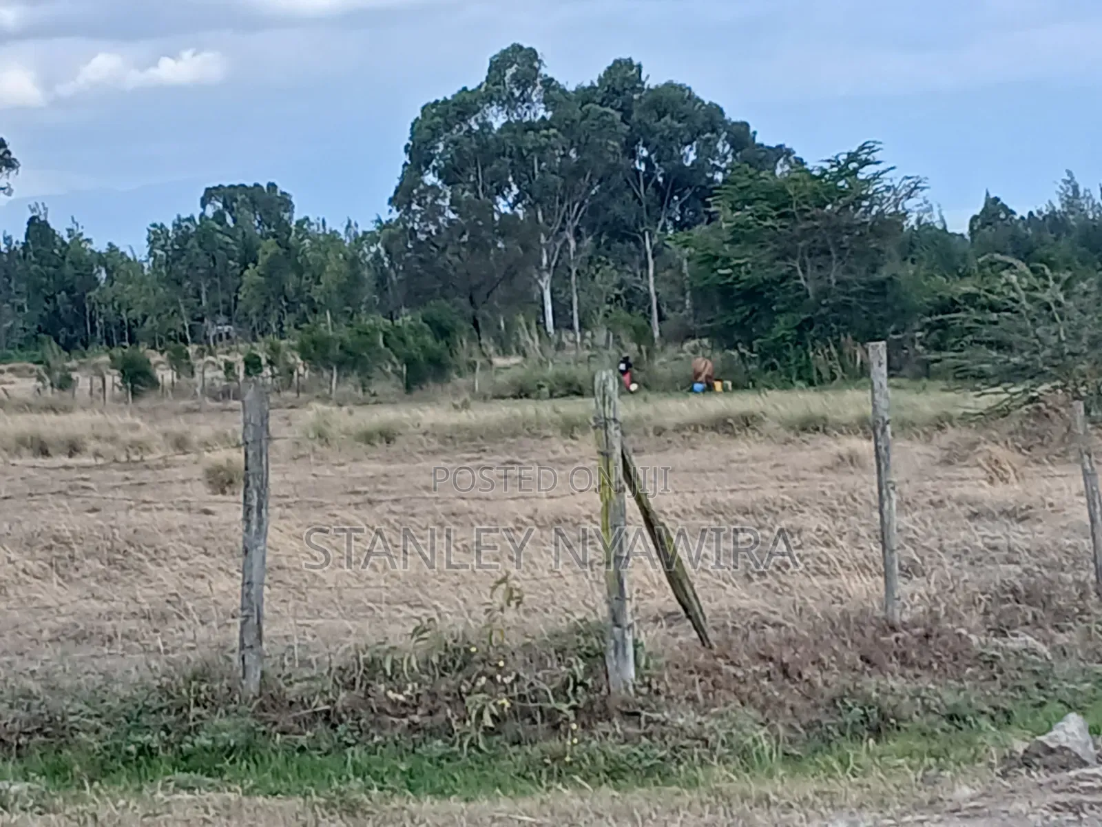 4 Prime Acrea Nanyuki Behind Airstrip Near Op Abdeare Cottages