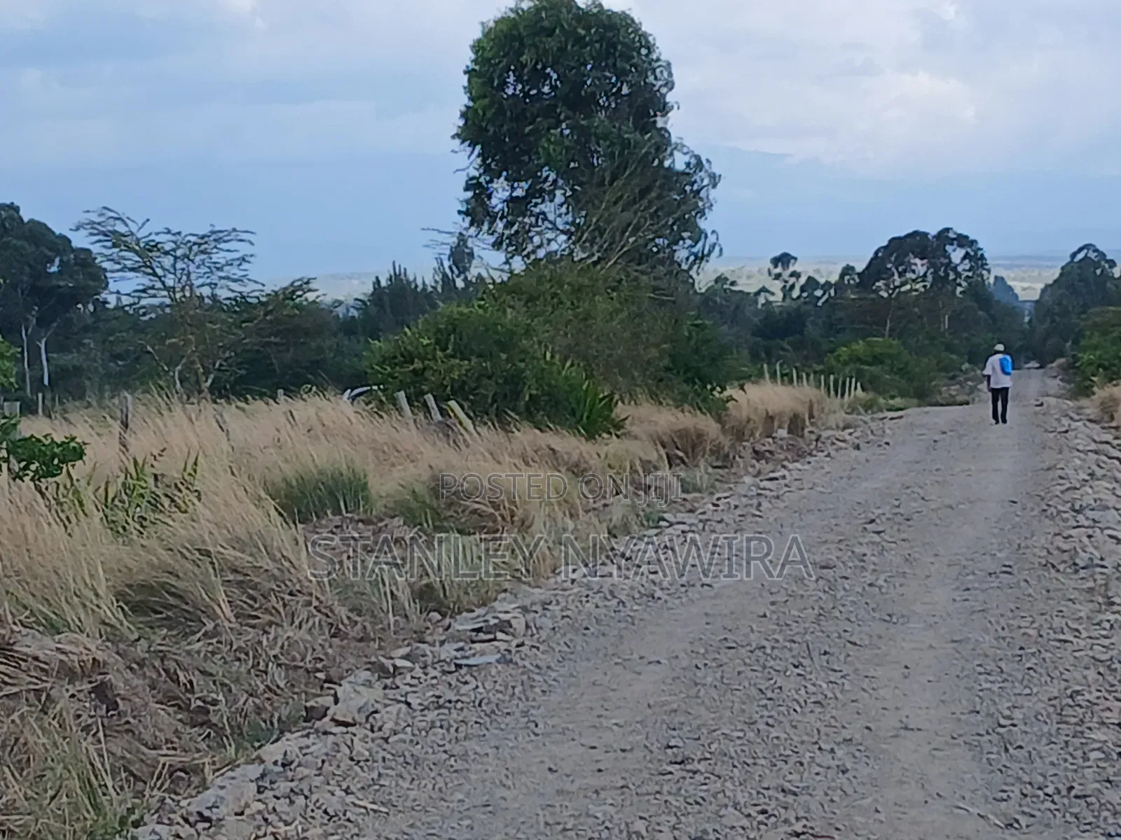 4 Prime Acrea Nanyuki Behind Airstrip Near Op Abdeare Cottages