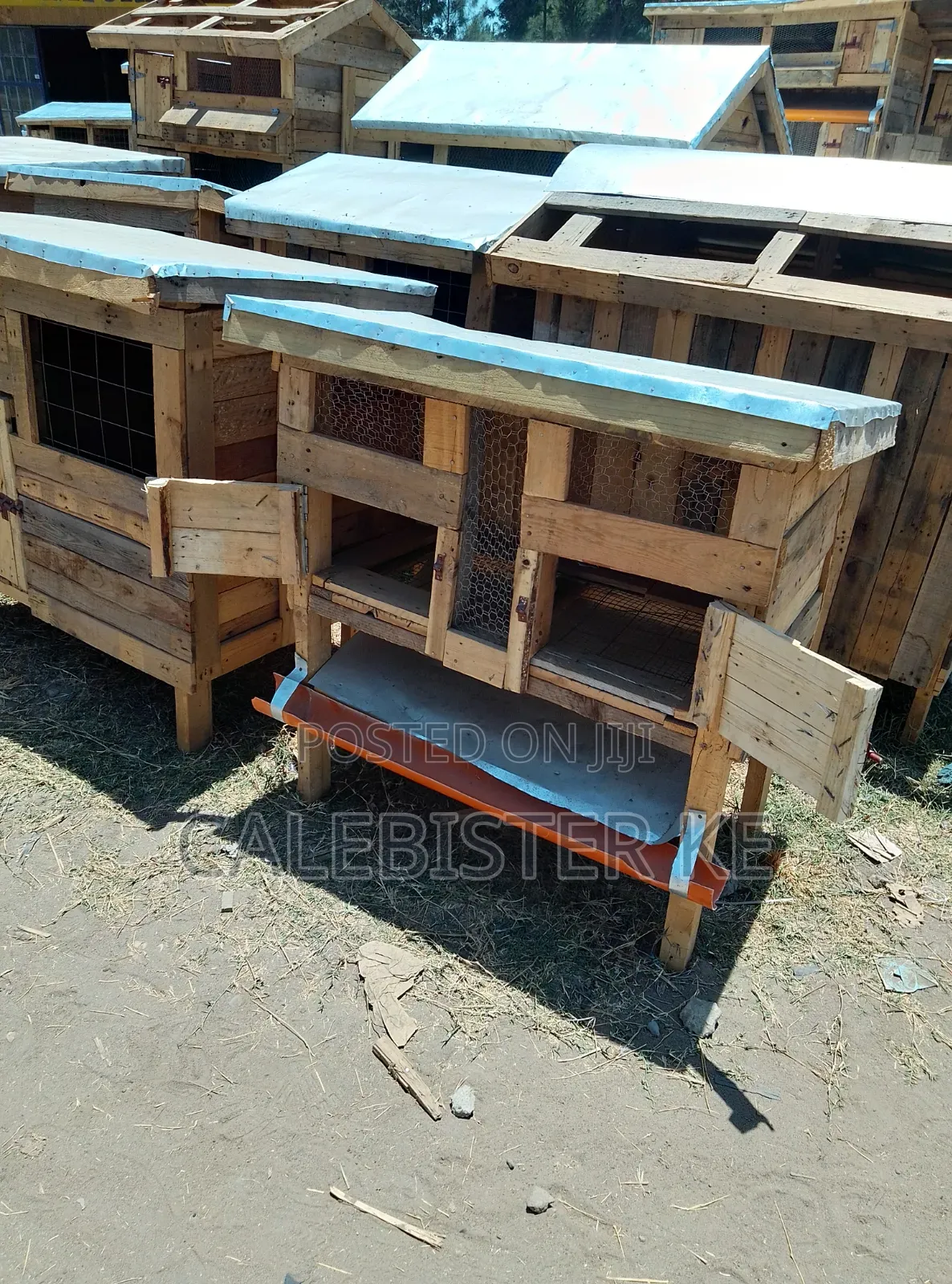 Rabbit Hutch