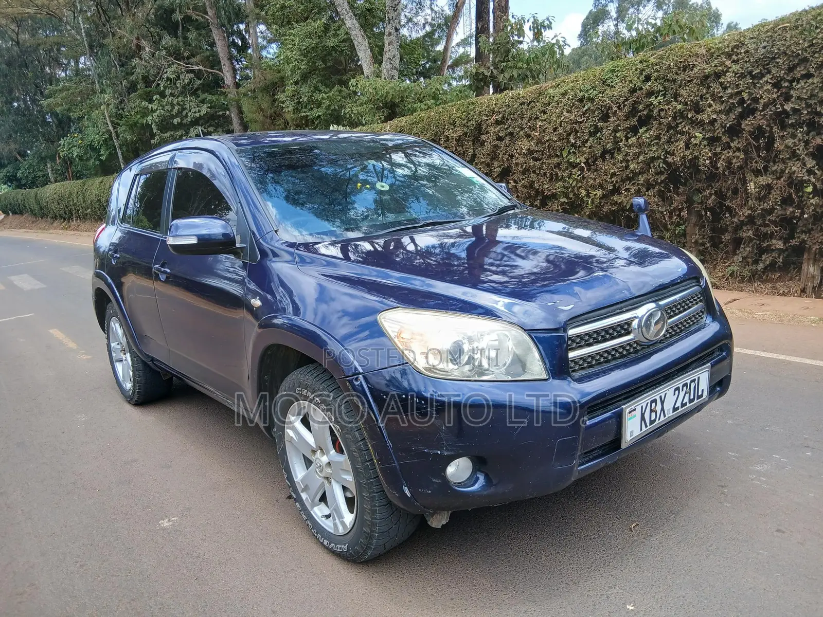 Toyota RAV4 2007 Blue