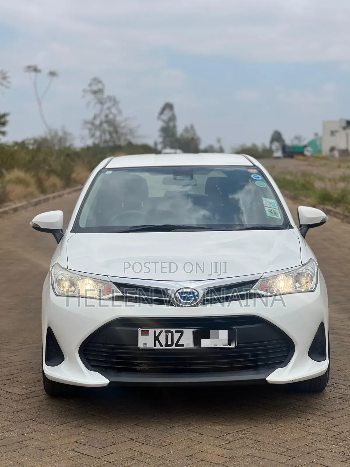 Toyota Corolla Fielder 2019 White
