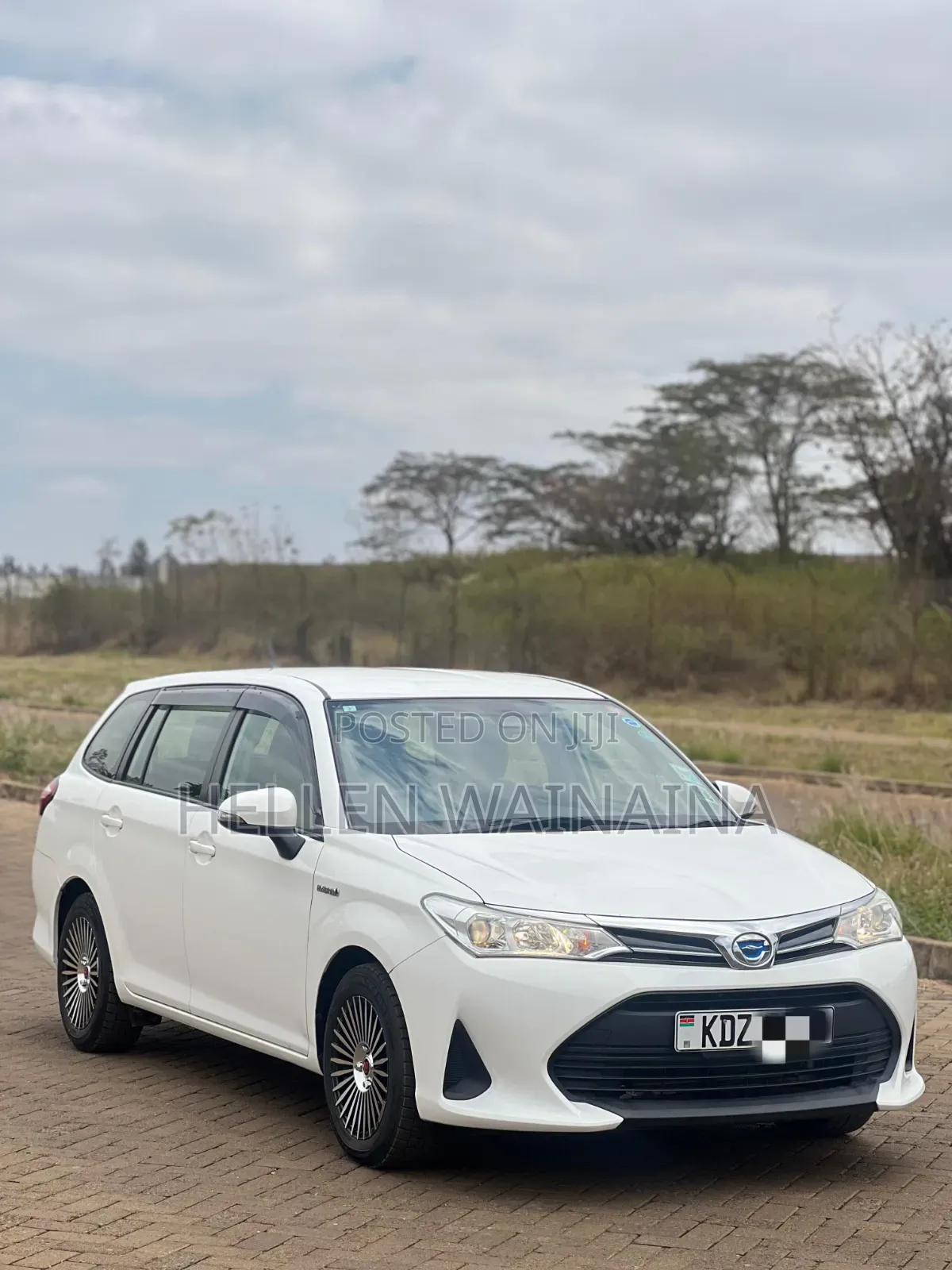 Toyota Corolla Fielder 2019 White