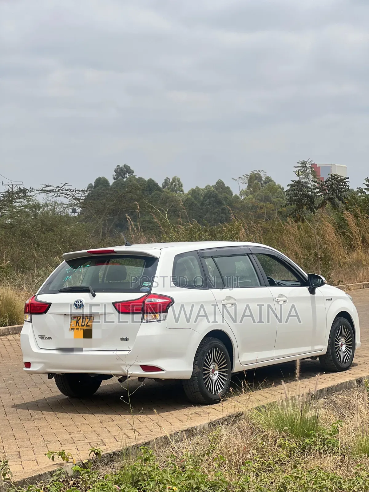 Toyota Corolla Fielder 2019 White