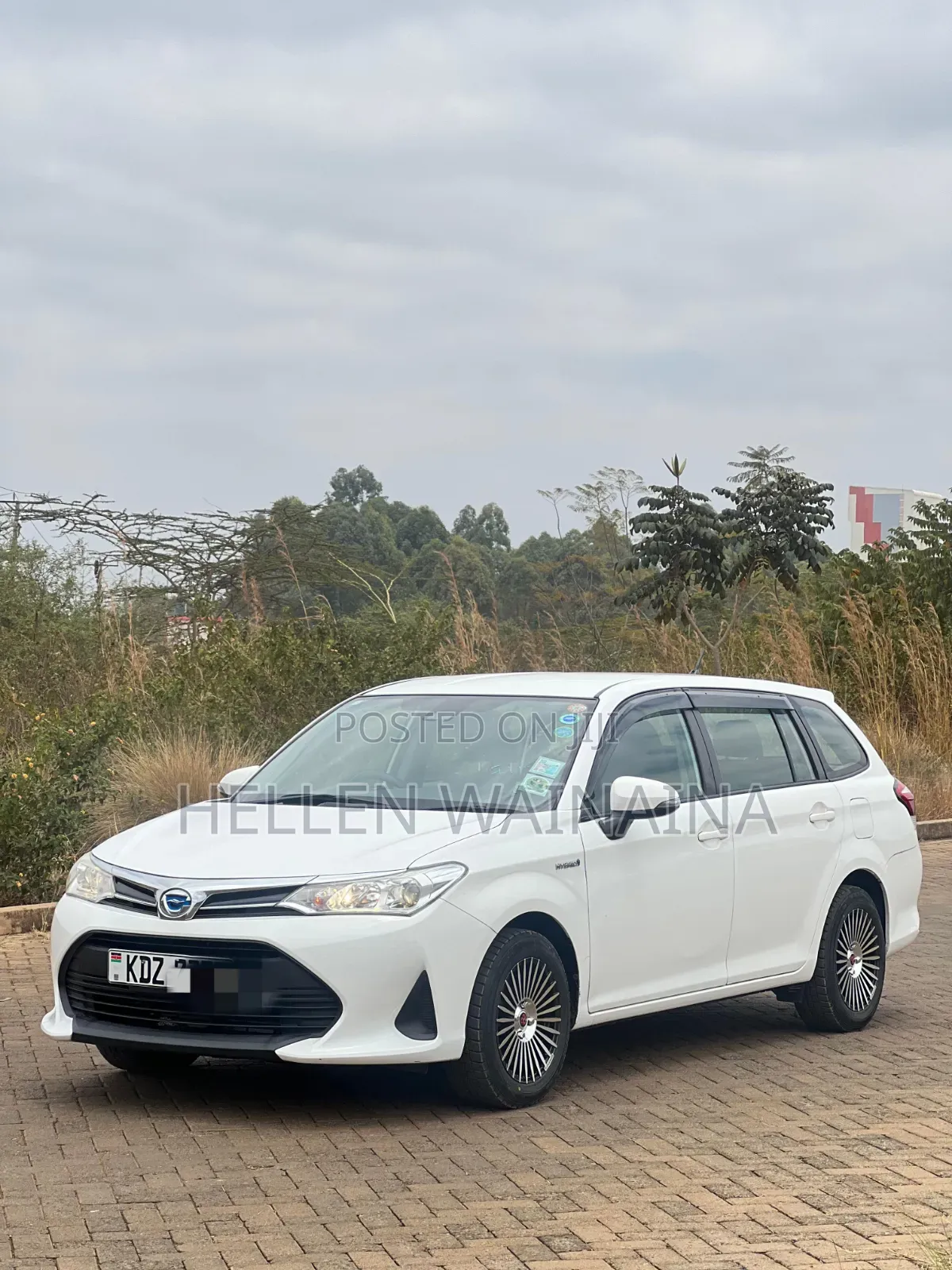 Toyota Corolla Fielder 2019 White