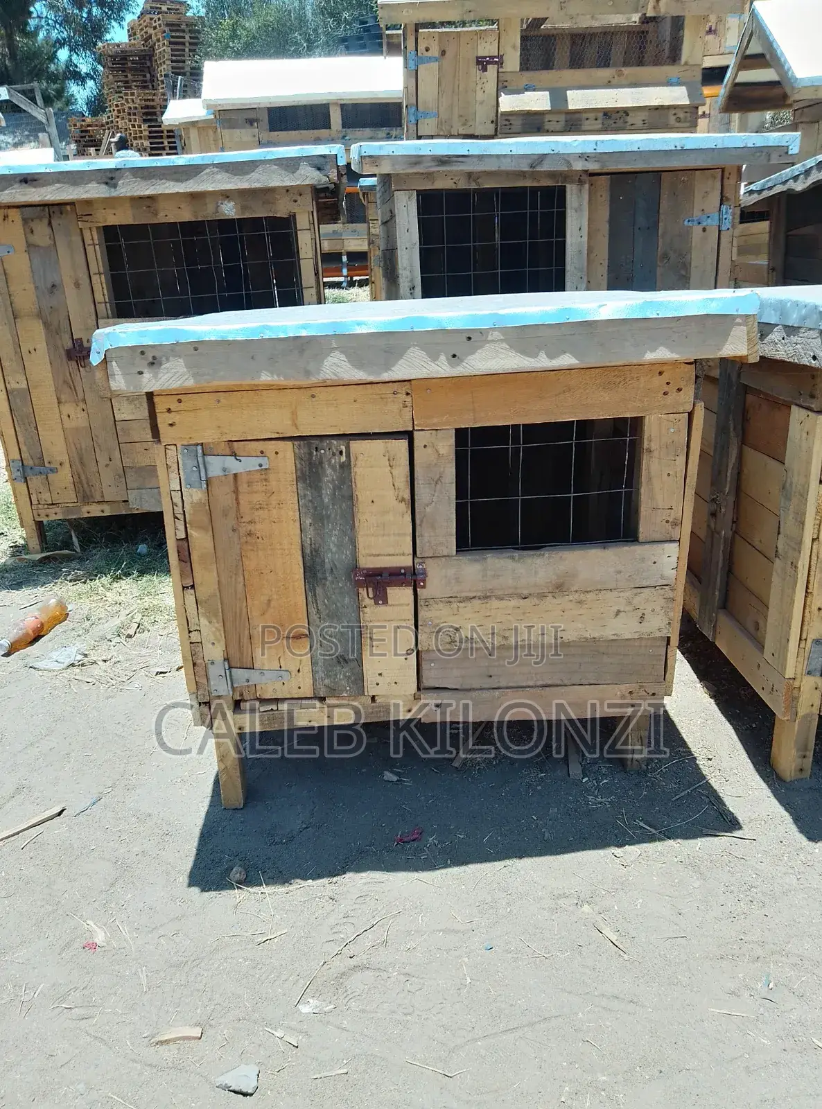 Dog House/Habitat