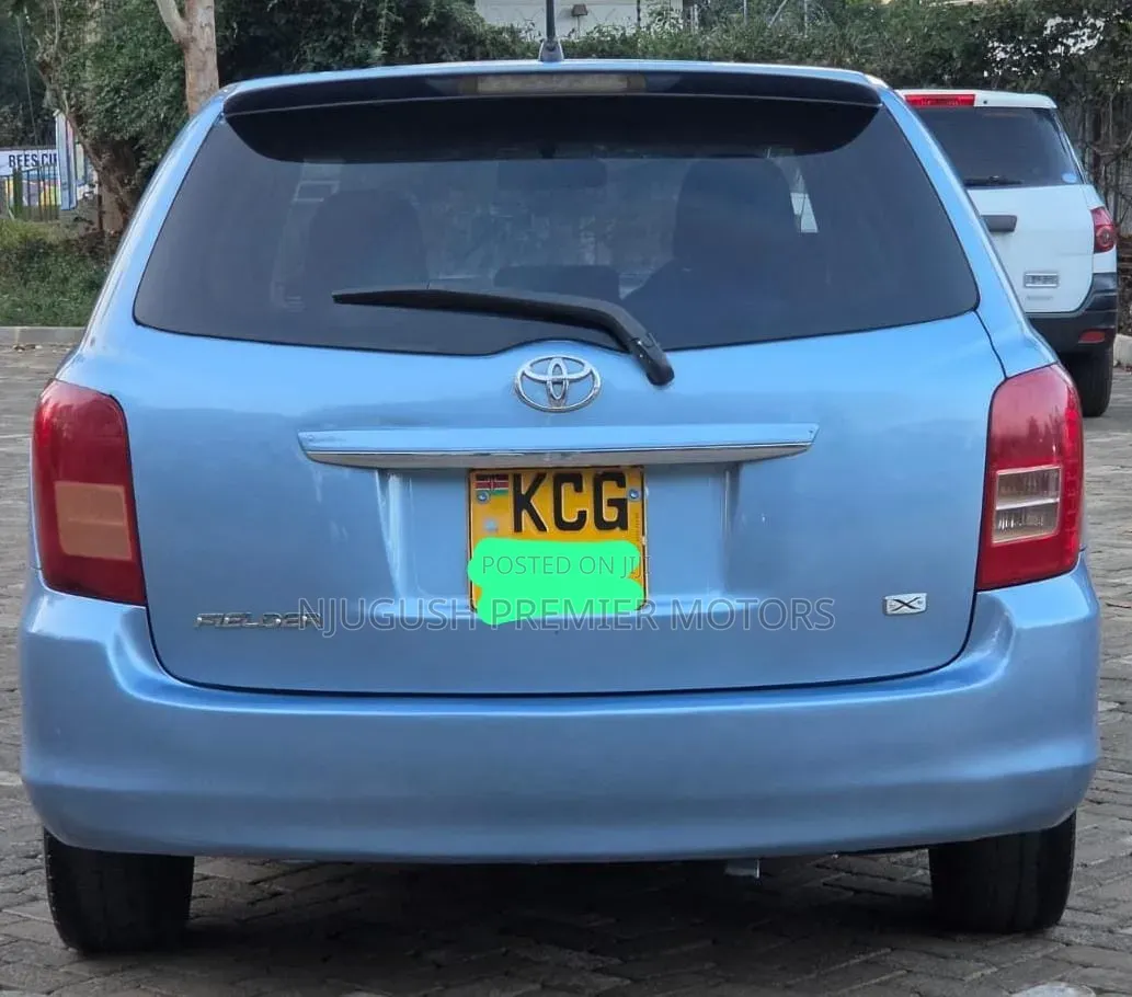 Toyota Corolla Fielder 2008 Blue