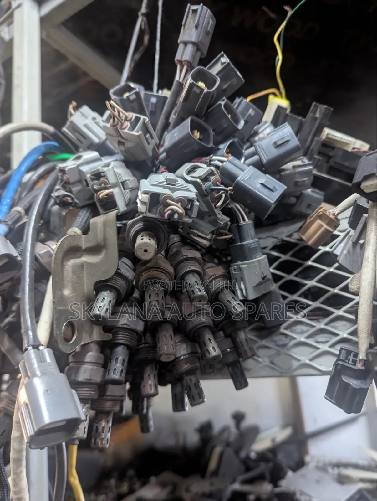 Probox Oxygen Sensor