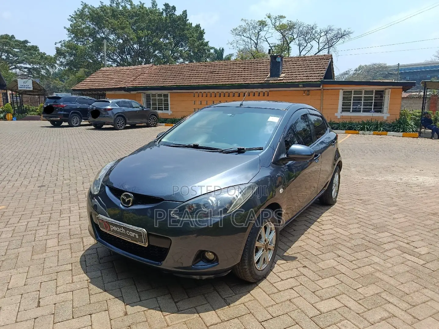 Mazda Demio 2010 Gray