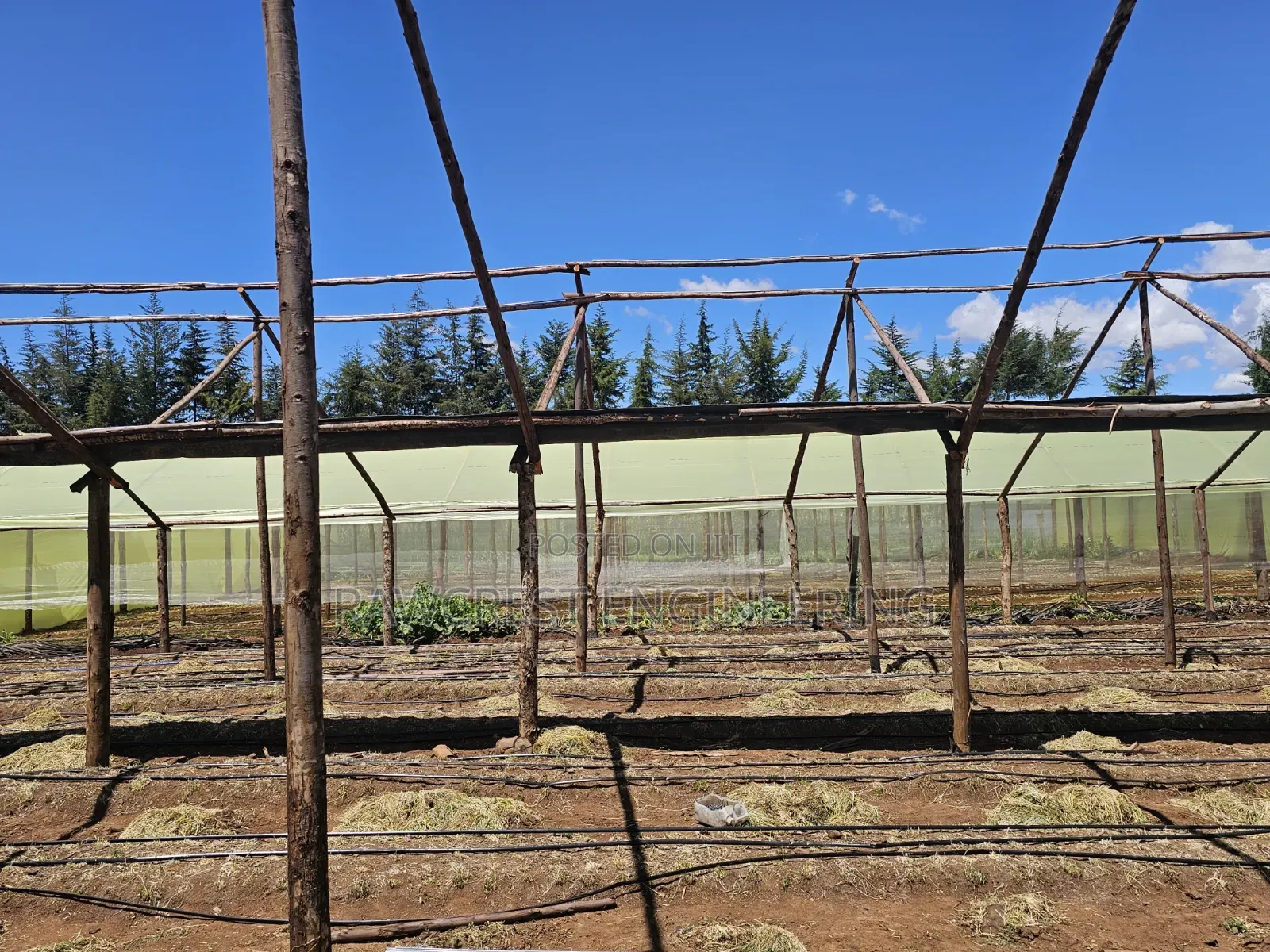 Greenhouse Installation