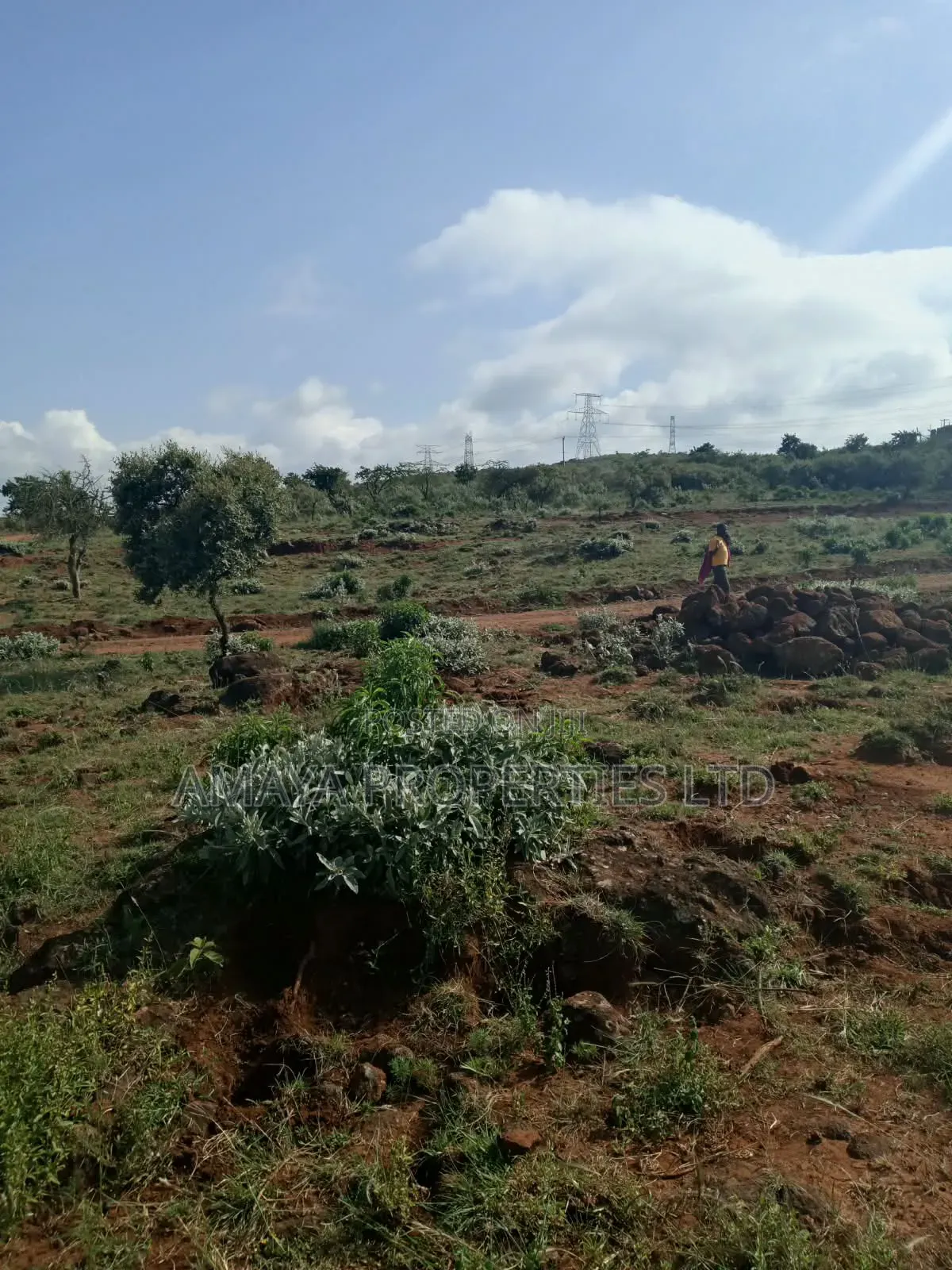 1/4 Plots for Sale Near Tarmac