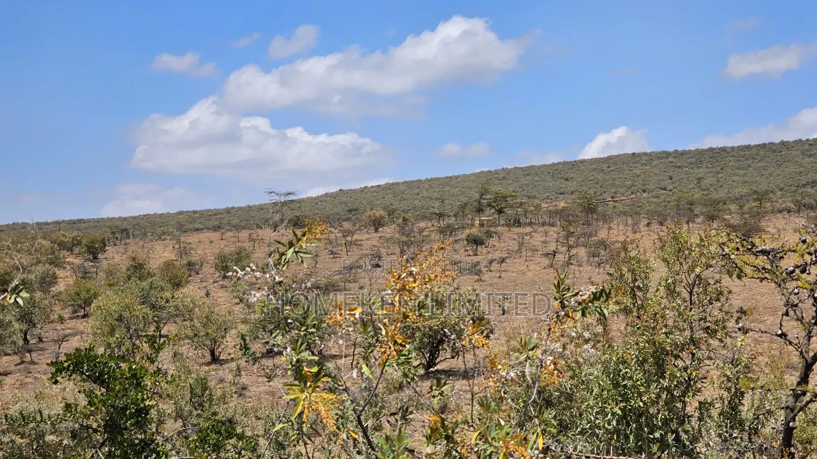 176 Acres Land for Sale In
