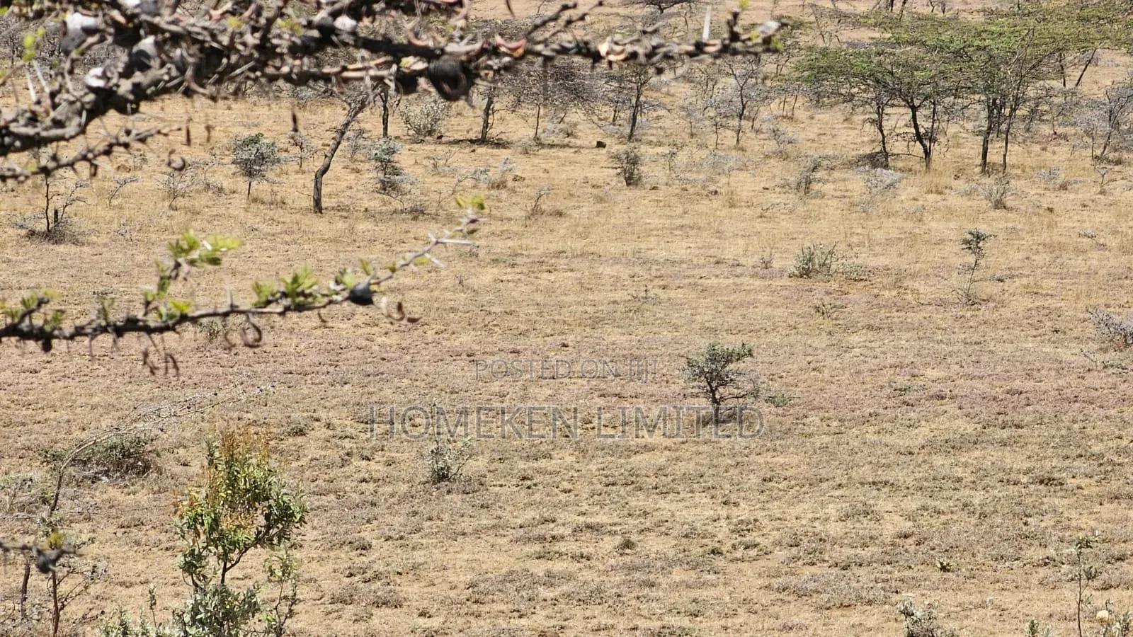 176 Acres Land for Sale In