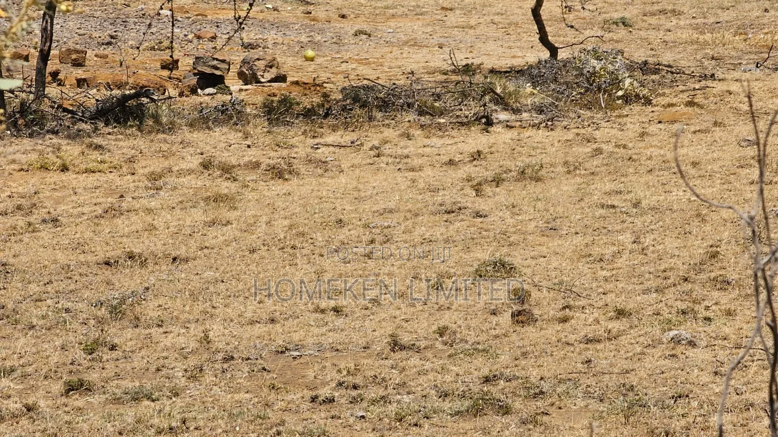 176 Acres Land for Sale In