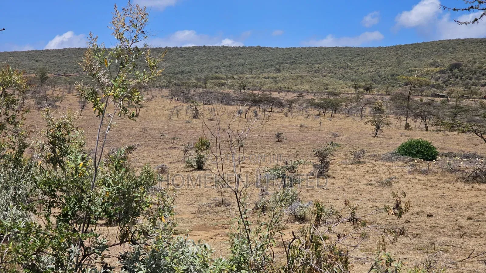 176 Acres Land for Sale In