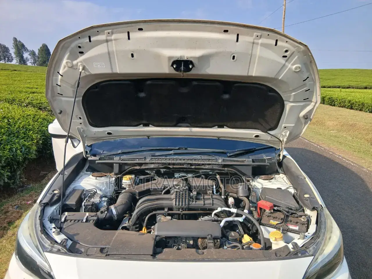 Subaru Impreza 2017 Pearl