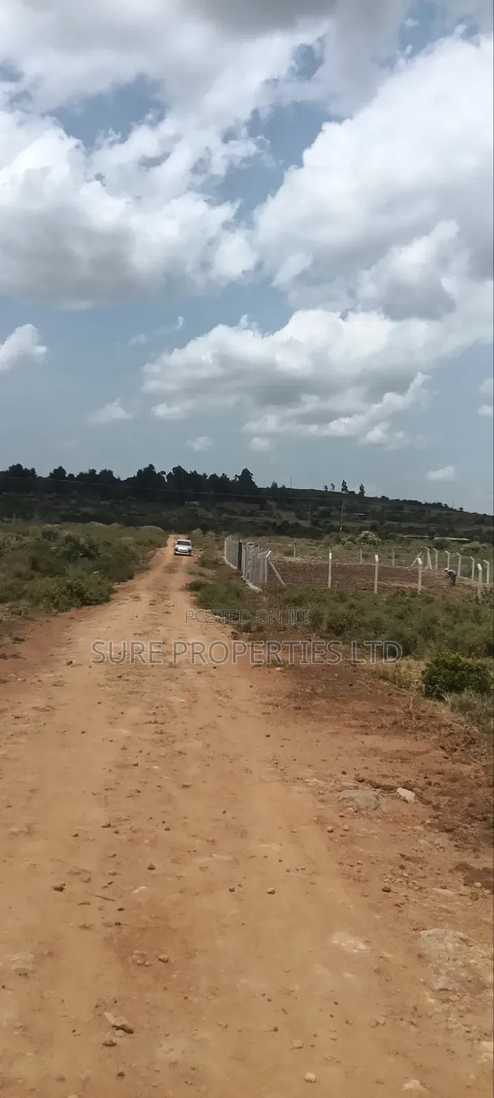 KIKUYU Kamangu Nachu