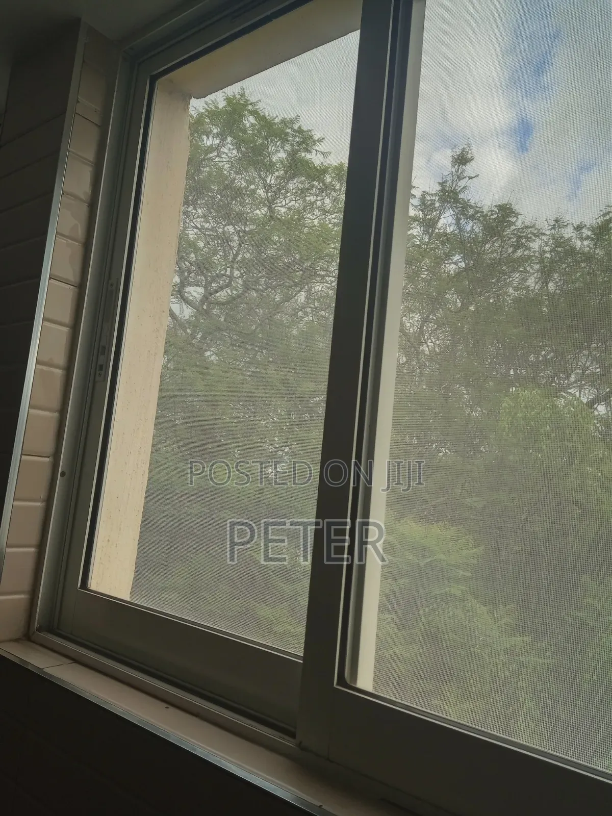 Windows Mosquito Net